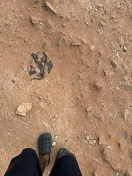 Black-mamba-madingo online show from 09/12/25, 10:37