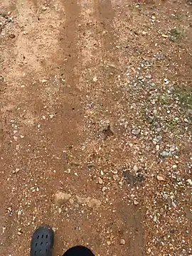 Black-mamba-madingo online show from 03/29/26, 02:08