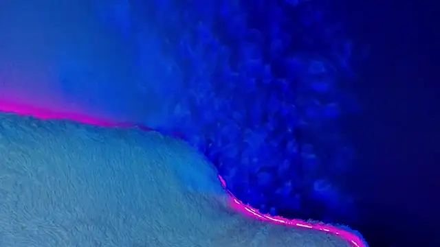 Snapshot of Inner_Light chatting on 12/13/24, 04:38 Inner Light online show from 12/13/24, 04:38