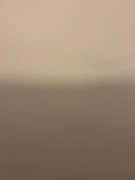 Nemadokmeg1111 online show from 01/24/25, 08:23