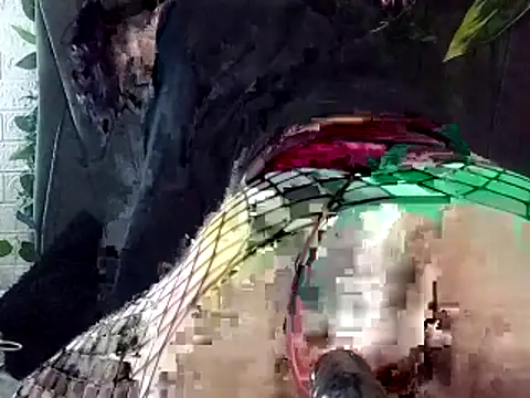 Devilnia9 online show from 02/04/26, 10:38