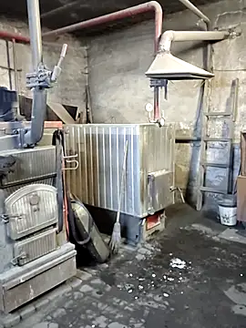 MityaXLoves online show from 12/22/25, 06:52