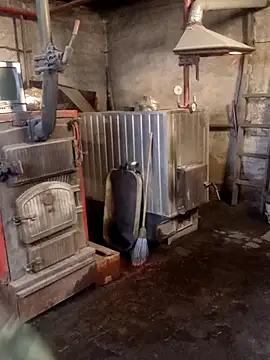 MityaXLoves online show from 11/08/25, 07:12