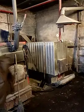 MityaXLoves online show from 01/11/26, 06:42