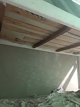 puak6666 online show from 11/14/25, 05:00