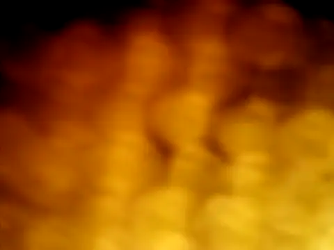 puak6666 online show from 04/05/26, 05:47