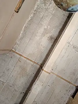 puak6666 online show from 10/23/25, 05:44