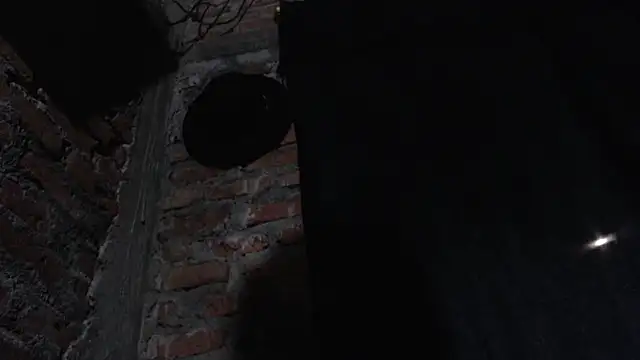 Snapshot of J232001 chatting on 03/01/26, 11:49 J232001 online show from 03/01/26, 11:49