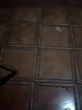 soulreaver199 online show from 02/12/26, 01:16