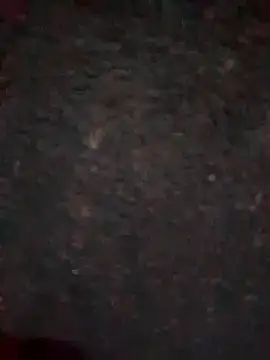 Rozittaa online show from 11/09/25, 05:17