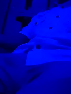 montereal1212 online show from 12/02/24, 02:59