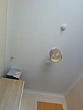 meateater1 online show from 11/01/25, 10:42