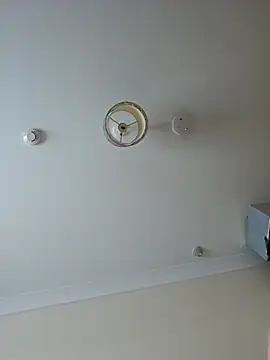 meateater1 online show from 11/18/25, 09:45