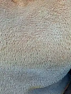 Priya Bong online show from 01/15/26, 04:05