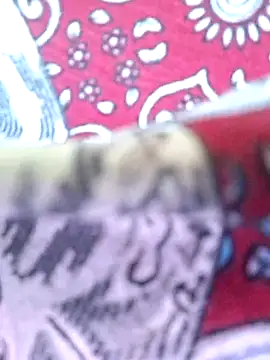 Priya Bong online show from 03/29/26, 04:58