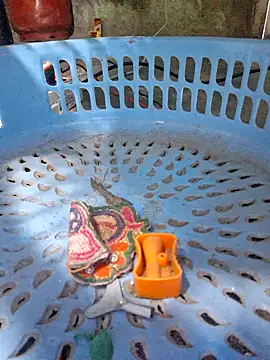 Priya Bong online show from 12/16/25, 02:27