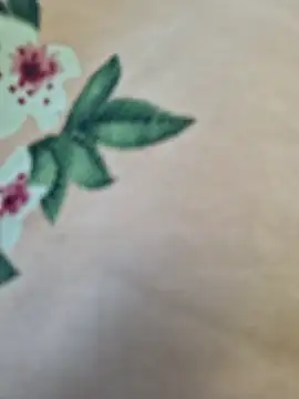 Priya Bong online show from 03/10/26, 02:59