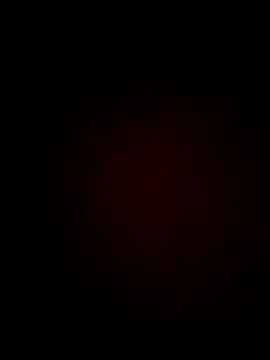 Priya Bong online show from 06/19/26, 02:01