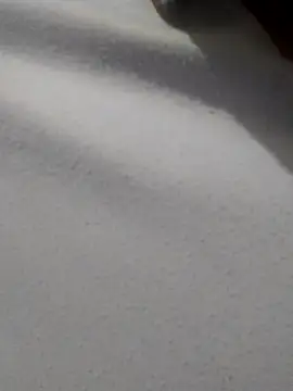  Miaaleon online show from 11/16/25, 10:42