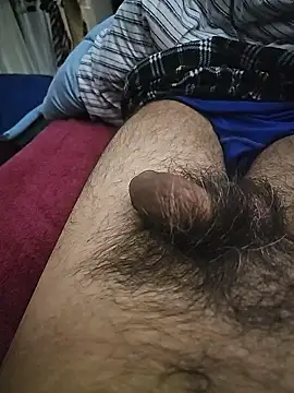 pajaroquemamaiz online show from 01/10/26, 04:02