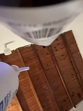 Miss-Abbii online show from 04/12/26, 03:26