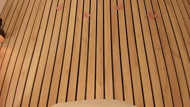 sofiesoft online show from 11/22/25, 12:59