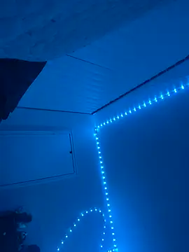 BBW2320 online show from 11/06/25, 05:11