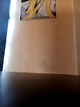 Snapshot of Goodsense chatting on 12/14/24, 03:58 Goodsense online show from 12/14/24, 03:58