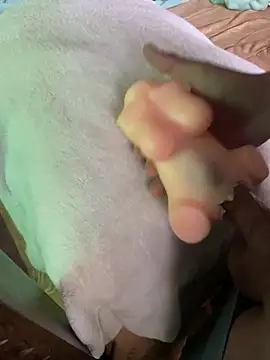 anonimotarado12 online show from 10/09/25, 10:05