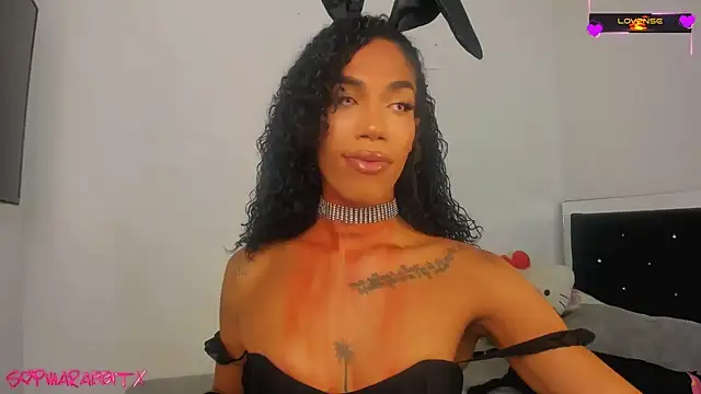 turabbitxx online show from 10/31/25, 04:53