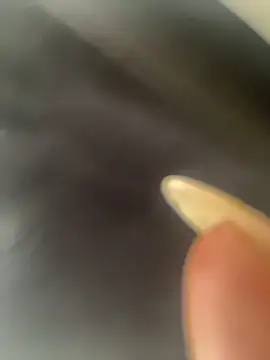 Snapshot of DarianaGuzz chatting on 10/31/25, 10:16 DarianaGuzz online show from 10/31/25, 10:16