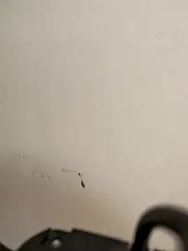 AvaLloyd online show from 02/20/26, 06:19