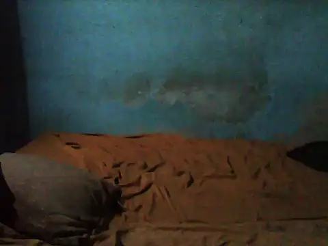 little  joy online show from 11/09/25, 02:15