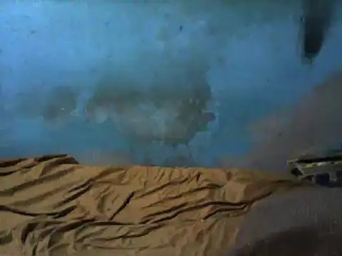 little  joy online show from 03/01/25, 02:37