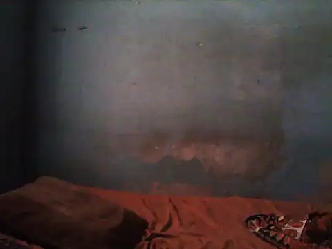 little  joy online show from 11/05/25, 01:47