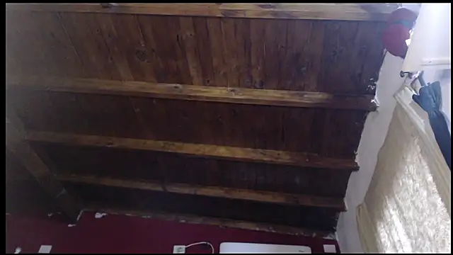 GABUSEXY online show from 02/14/26, 09:59