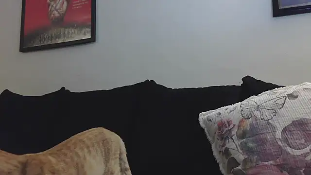 CrystalLakeXO online show from 09/12/25, 04:23