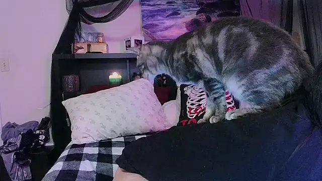 CrystalLakeXO online show from 01/17/26, 08:07