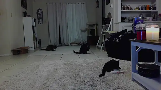 CrystalLakeXO online show from 10/19/25, 07:44