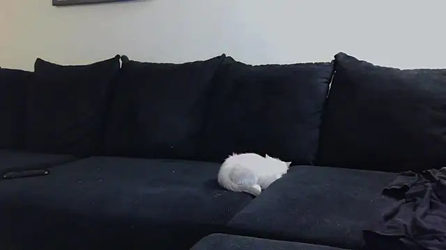 CrystalLakeXO online show from 10/23/25, 04:55