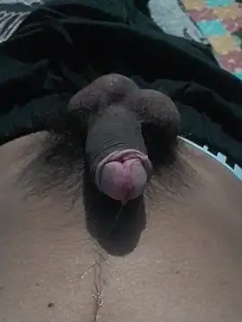 saito0006 online show from 11/09/25, 11:20