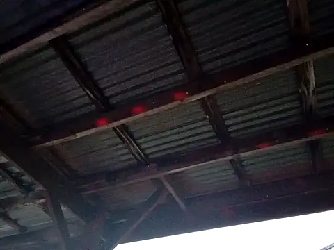 Xoc8  online show from 12/01/25, 11:05