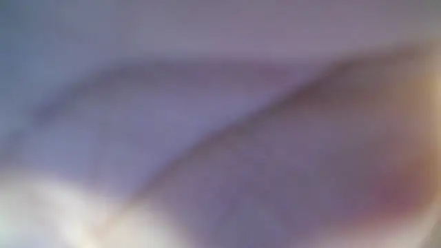 skeler lovd b  online show from 03/20/26, 12:50