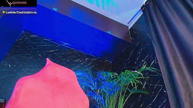 Palo santo online show from 02/03/26, 07:52