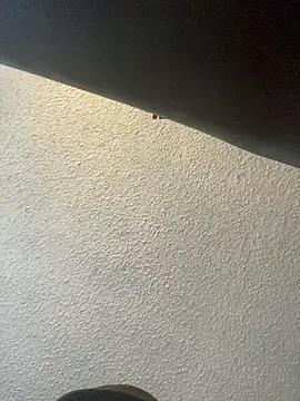 Miguel16i online show from 02/26/25, 04:49