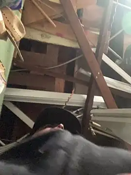 Miguel16i online show from 03/17/25, 07:58