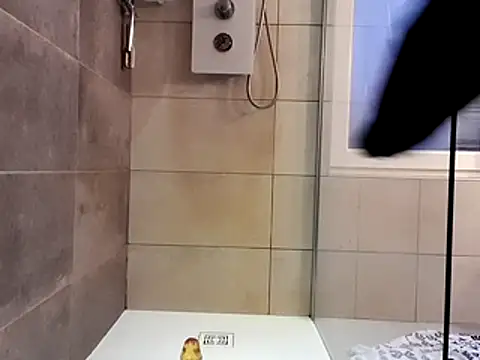 nfean2 online show from 11/30/25, 03:57