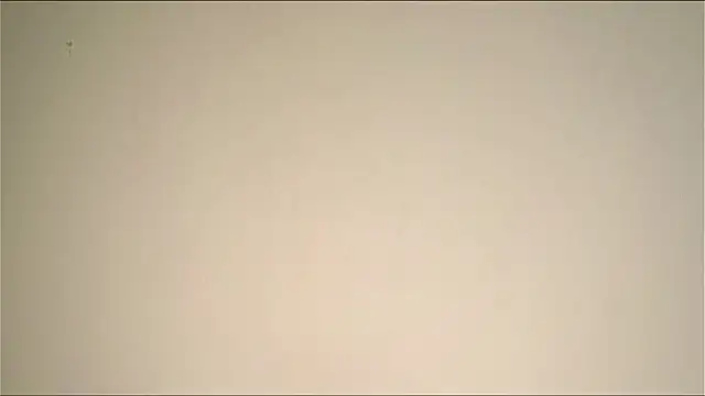 Elation Evy online show from 03/19/26, 01:38