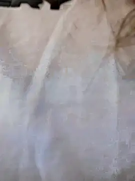 Dani javi online show from 04/10/26, 07:43