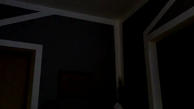 donhulio482 online show from 03/11/25, 02:10